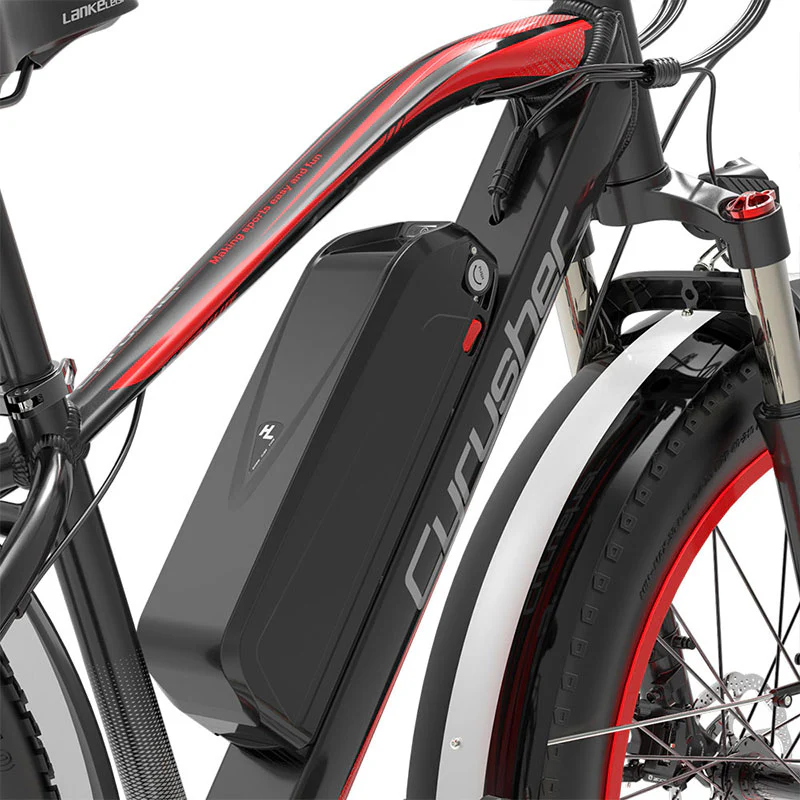 [Pre-sale-45 days]48V 16Ah Ebike Battery for Rider (XF650) - Image 6