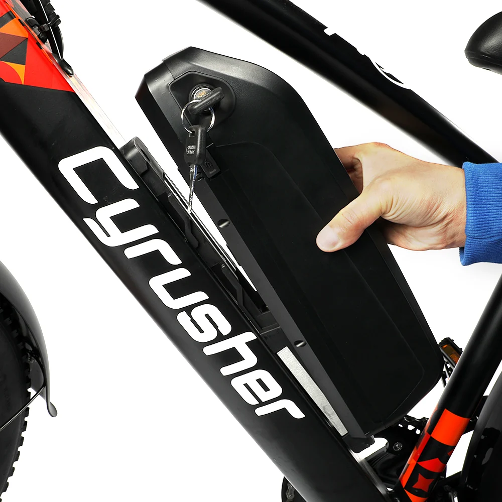 [Pre-sale-45 days]48V 16Ah Ebike Battery for Rider (XF650) - Image 8